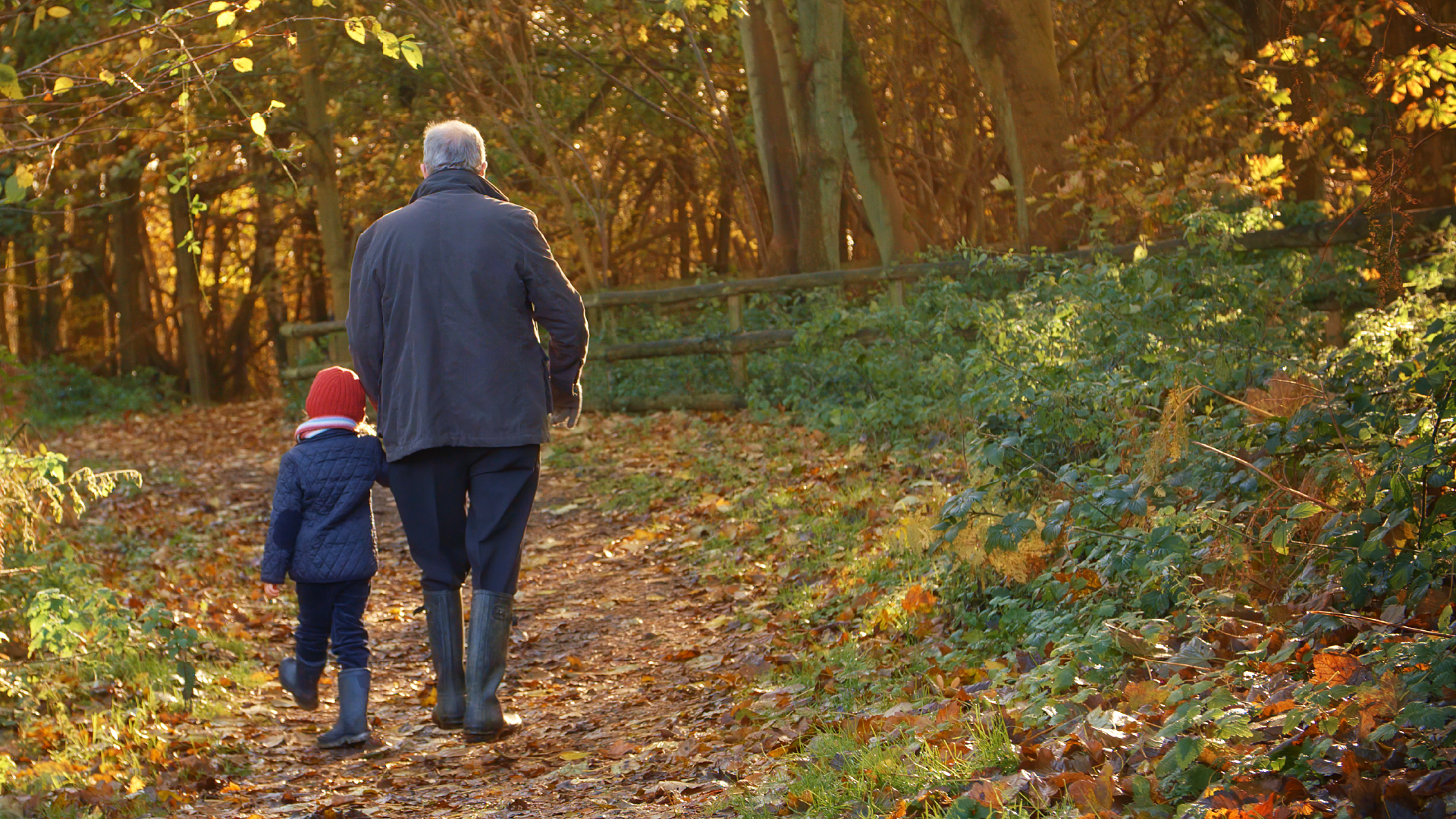 Grandad and grandchild walking through a forest