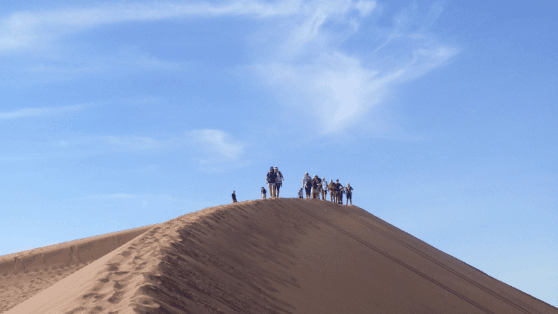 People taking on the Sahara Desert Trek
