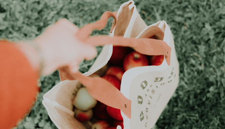 hand holding shopping bag containing apples