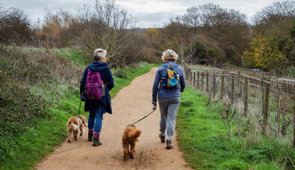 Two ladies walking their dogs