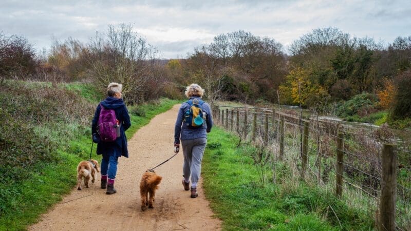 two ladies walking their dogs